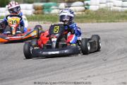 20110501_ales_agnus (3391)